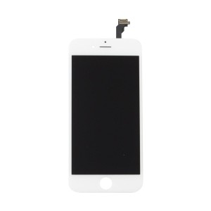 PK Nắp lưng iPhone 6 Plus Gold & Co - White