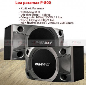 ĐT Loa PARAMAX P-500
