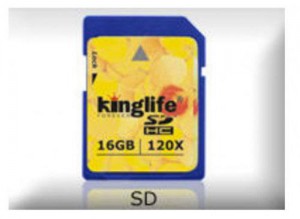 PK Thẻ nhớ Micro SD 4GB