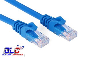 PK Cáp mạng Kingmaster 30M 2