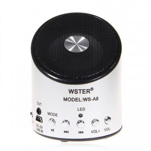 PK Loa nhạc WSA9 1
