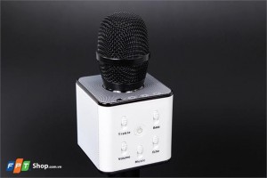 PK Loa Bluetooth nước có cá