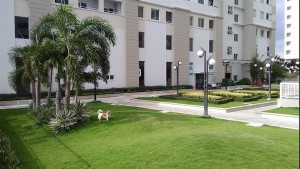 PK Gậy chụp hình Selfie 3.5 Mini nhung