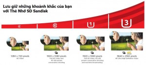 PK Thẻ nhớ Sandisk Ultra 16G 80MB/s